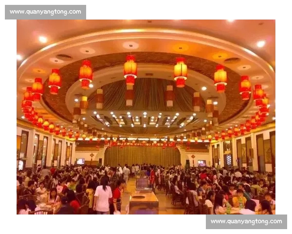 深度解析vs1跟vs性能差异与应用场景全面对比研究分析报告总