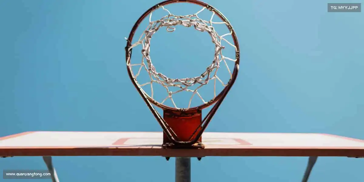 我们的品牌价值